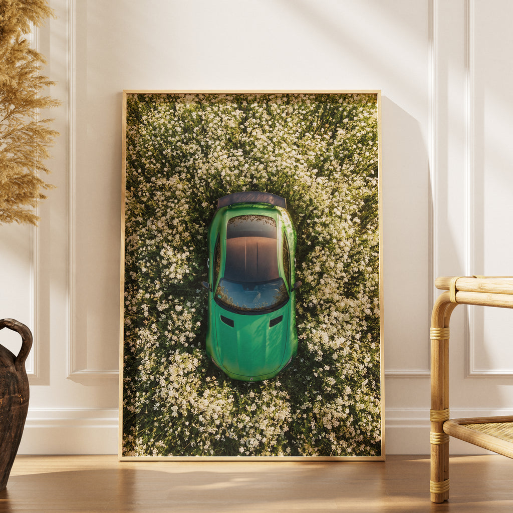 Surreal Scene Flower Bed GTR